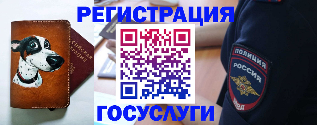 временная регистрация в квартире в Сорочинске